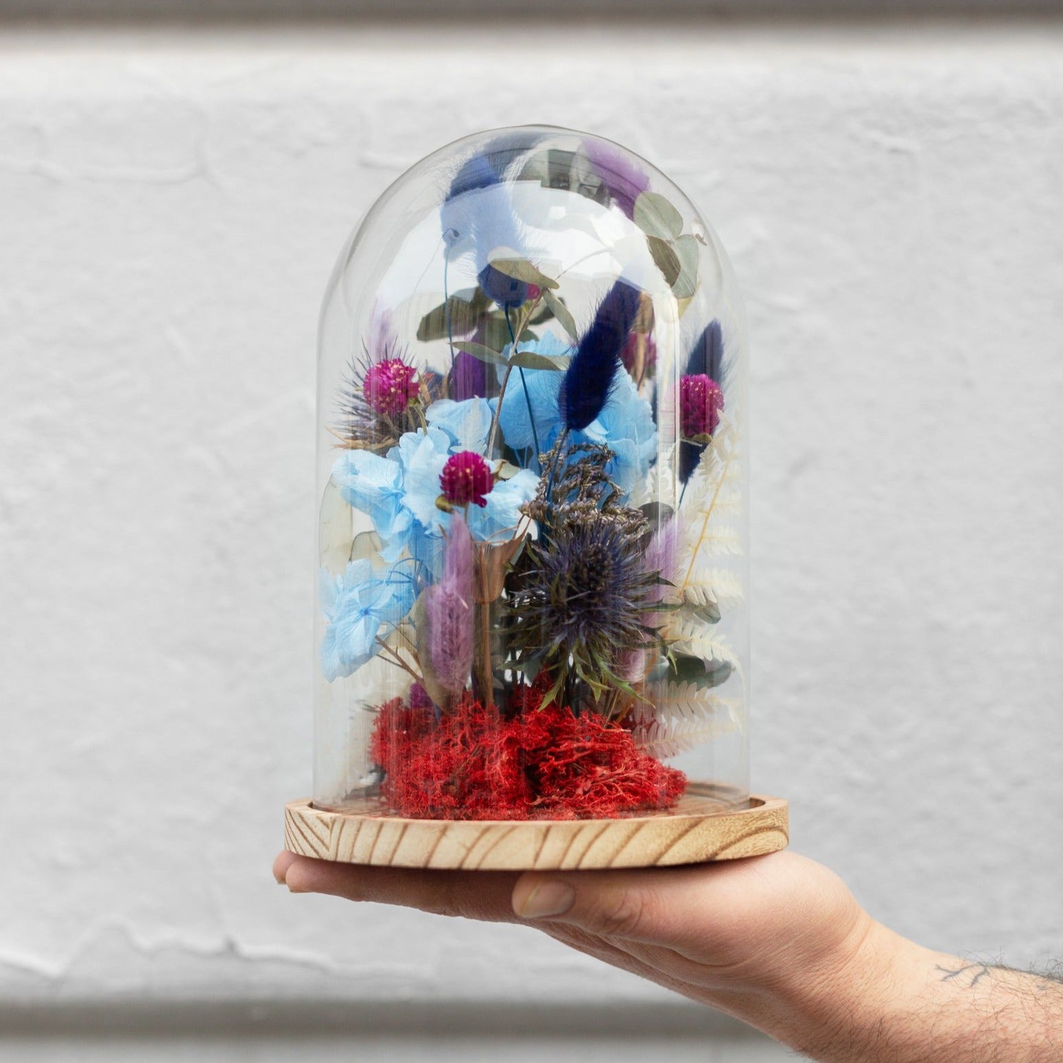 Cloche di vetro con fiori secchi e stabilizzati